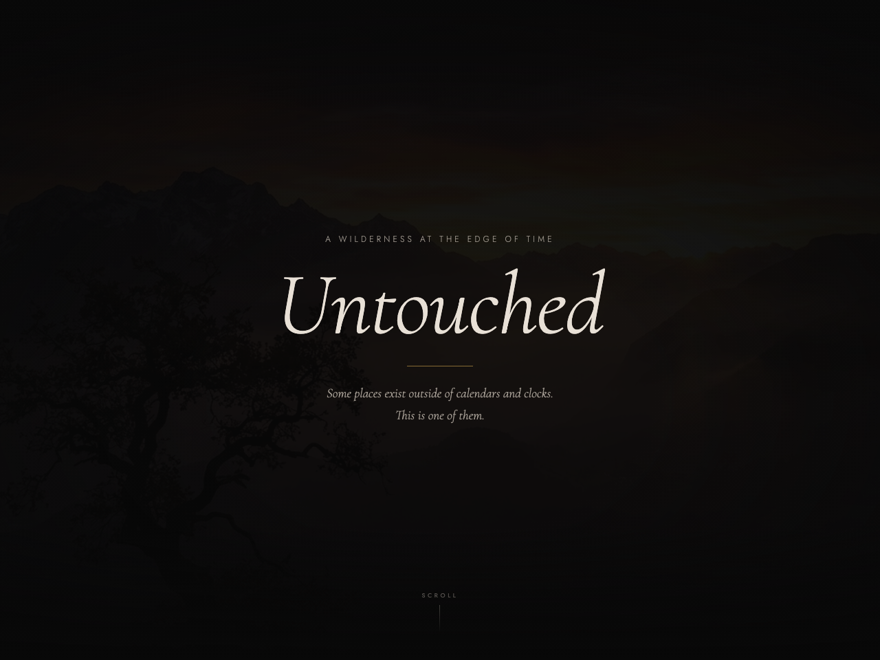 Art Portfolio preview